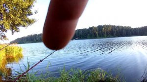 Яновское водохранилище 04.08.2018