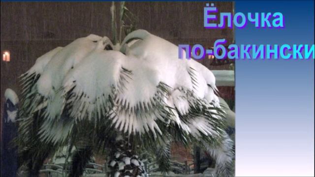 Зимняя сказка в Баку смотреть онлайн