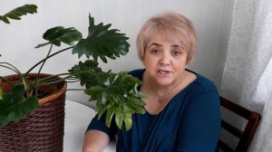 УХОД И ВЫРАЩИВАНИЕ ФИЛОДЕНДРОНА. Мои цветы. Мой опыт.