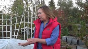 Какие удобрения вносить на грядки осенью, чтобы в следующем сезоне быть с урожаем | Сад для души