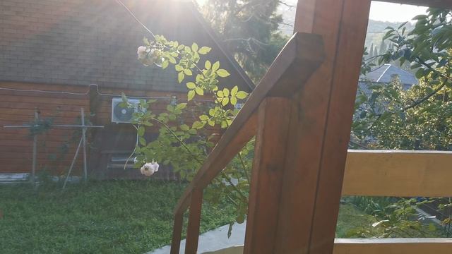 сочи горное лоо