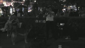 Мухтар Ялта. Трубач и поющий пёс Мухтар! Музыканты в Ялте. Город, которого нет (И. Корнелюк). 2017