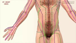 Меридиан сердца 心, малый инь 少阴. Китайская медицина