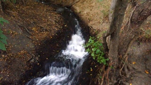 РЫГАЮ В ПАРКЕ?. МОСКВА-СИТИ?. УБИВАЮ СКУТЕР. МОЩНАЯ РЫБА. смотреть онлайн