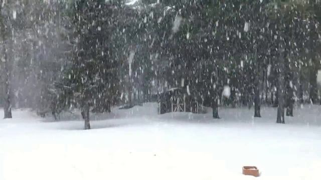 СНЕГ | МЕТЕЛЬ | БЕЛЫЙ СНЕГ СЛУШАЕМ КАК УСПОКОИТЕЛЬНОЕ #снег#первый_снег#winter смотреть онлайн