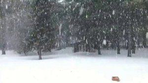 СНЕГ | МЕТЕЛЬ | БЕЛЫЙ СНЕГ СЛУШАЕМ КАК УСПОКОИТЕЛЬНОЕ  #снег#первый_снег#winter