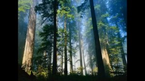 Христианские песни  Всюду Ты, Бог Благой