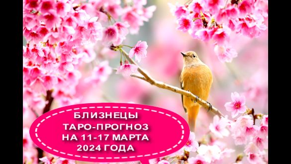 БЛИЗНЕЦЫ ТАРО-ПРОГНОЗЫ НА НЕДЕЛЮ С 11 ПО 17 МАРТА 2024 ГОДА