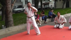 Ката из каратэ киокушинкай