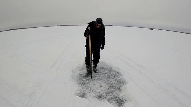Пешня трехгранная, Почему?