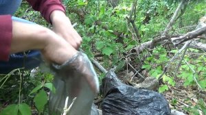 Нашел свою первую закладку