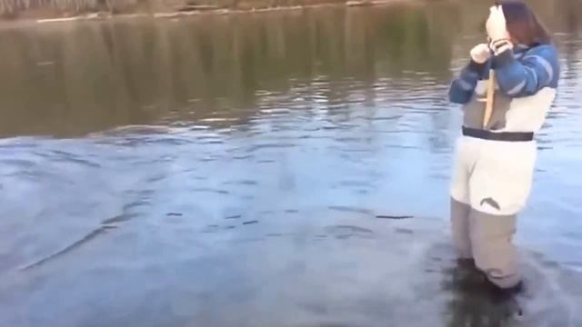Прикольные истории на рыбалке. Прикол.