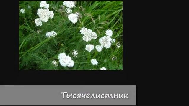 Мурманск  Семёновское озеро
