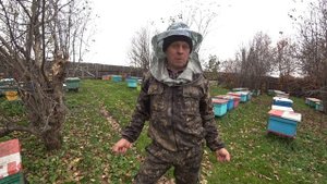 ОСЕННЯЯ ОБРАБОТКА ОТ КЛЕЩА ВАРРОА, ТАКОГО РЕЗУЛЬТАТА Я НЕ ПРИПОМНЮ