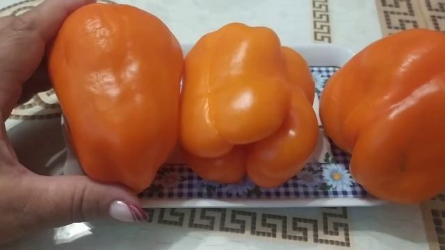 Обзор сортов перца ВИКТОРИЯ, БИГ МАМА и МУСТАНГ. смотреть онлайн