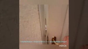 Пансионат Голубая Волна г Алушта Номер Часть 1