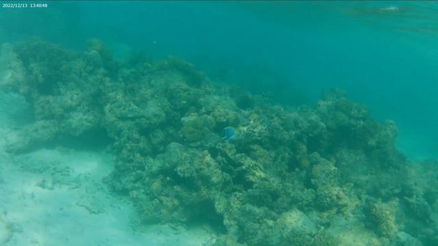 Экшн-камера Digma DiCam 810 (как снимает под водой) смотреть онлайн