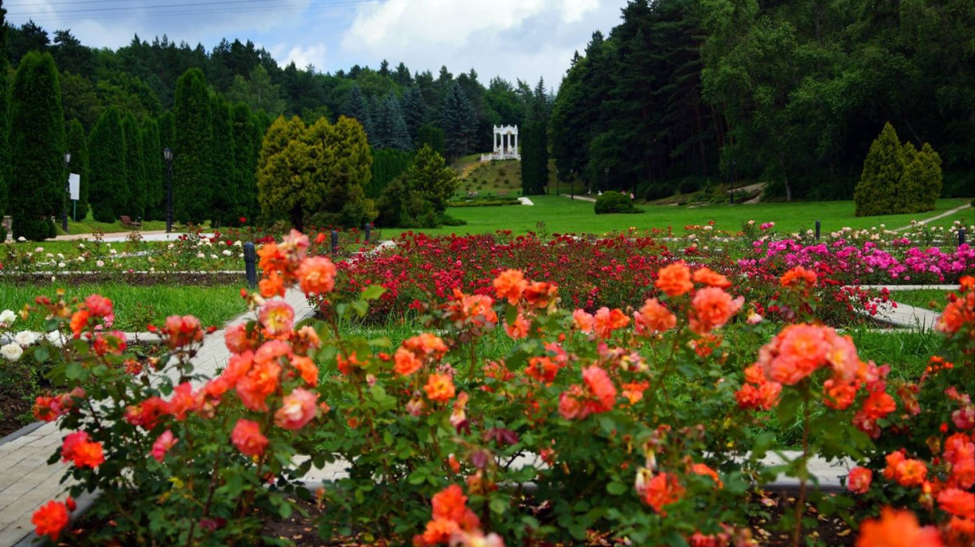 Долина Роз. Кисловодск. #парк #долинароз #розы #цветы #природа #кисловодск #путешествие
