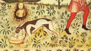 ЭЛИКСИР БЕССМЕРТИЯ. Тайны ушедших времен. № 2548