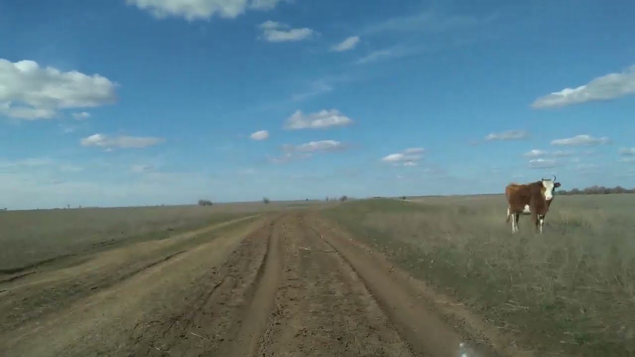 Опустевший посёлок Васильевка, Новоузенский район.