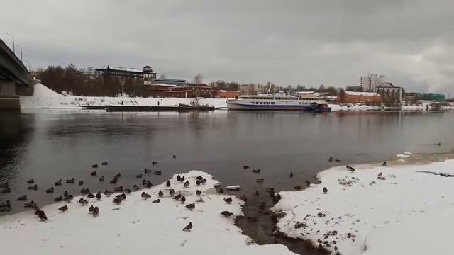 Утки. Вот почему не замерзает река Волхов! смотреть онлайн