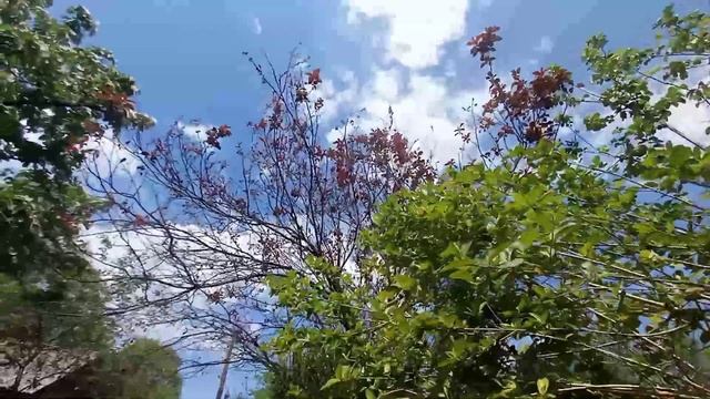 Читаю стихи/Автор Ирене Крекер /как хорошо/вдохновение смотреть онлайн