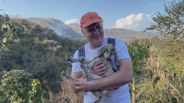 Северная Индия, в гостях у местной семьи (Предгорье Гималаи) смотреть онлайн