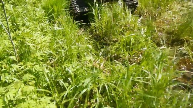 По болотистым лужам на мотоблоке на гусеницах смотреть онлайн