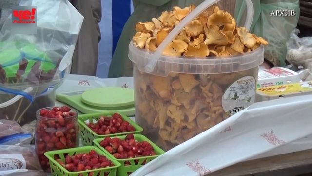 Две четверти часа 26 августа 2022 смотреть онлайн