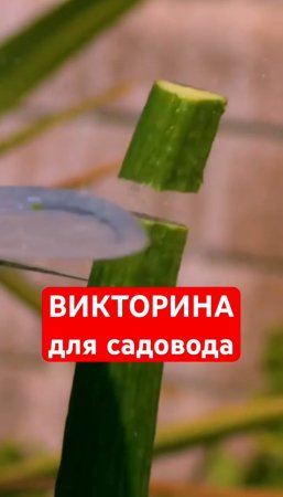 #викторина для НАСТОЯЩЕГО САДОВОДА✅👀