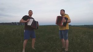 Сектор газа - Дурак!!! Cover на гармони.#гармонь#играйгармонь#секторгаза#чайка2#