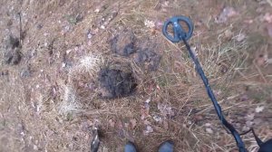 Спустя год мы снова в Житомирской области:)