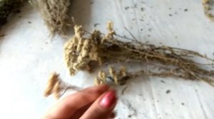 Лекарственные травы. Хранение