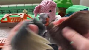 Повелители неба от сбабам