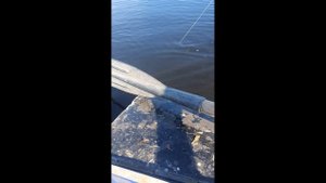 ЭКО ОТЕЛЬ НОВЫЙ КОВЧЕГ ЛОВЛЯ ЩУКИ. МИР СЕЛИГЕРА