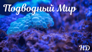 Расслабляющая Музыка - Подводный Мир