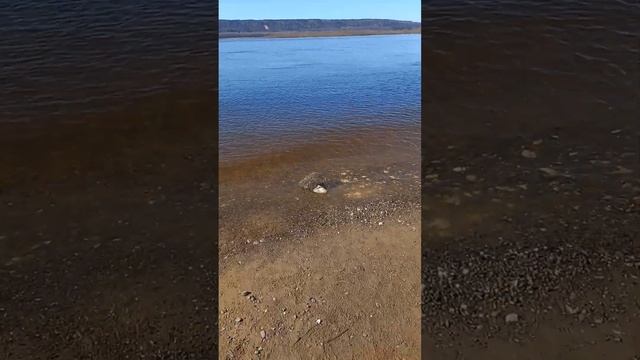 Поехали порыбачить.