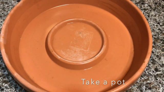 How propagate purple pearl perle von nurnberg смотреть онлайн