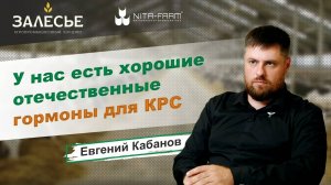 Гормональные_препараты_для_КРС_Опыт_применения_АПХ_«Залесье»