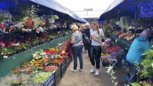 Обзор цветочного рынка. Город Минск, 22 мая 2024г.