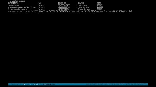 MSSQL Server en Docker смотреть онлайн
