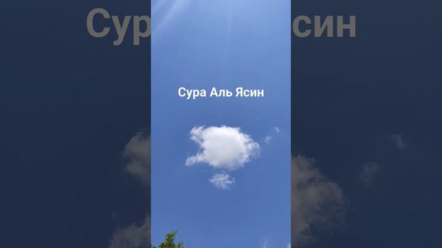 Сура Аль Ясин