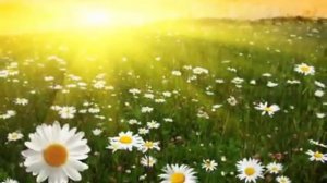 Вставай - с дыханием природы!