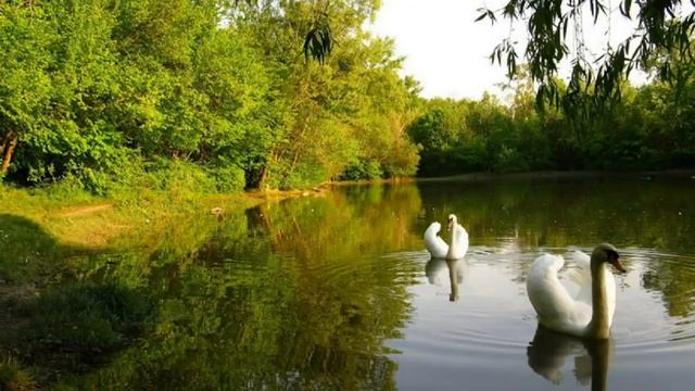 МАНТРА УВЕРЕННОСТИ В СЕБЕ