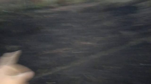 Посадили яблони ,сорта Беркутовка ,Лобо и Глостер! смотреть онлайн