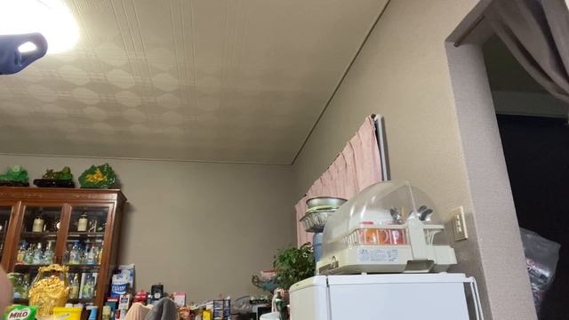 SIMPLE and HEALTHY SQUASH & PETCHAY + Lelian Life in Japan 🇯🇵🇵🇭
