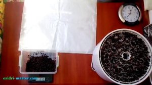 Сушка смородины – 5 кг.