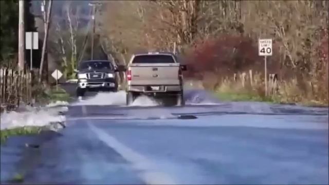 Здесь рыбы - НЕТ !!! смотреть онлайн