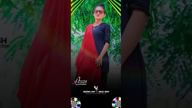 ld dudva naw timali 2023 aadivasi whatsapp status video 2023