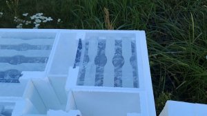микронуклеус от Пеноулика обзор